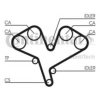 CONTITECH CT884 Timing Belt